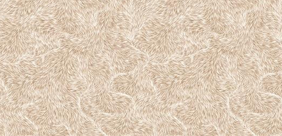 KIRKIT CHOKO(CARVIN): 30 BOX