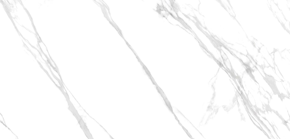 CIRIS STATURIO(CARVIN): 30 BOX